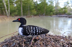 Loon felt ornament pattern