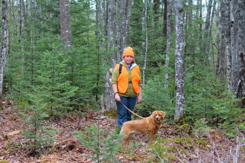 A walk in the woods during hunting season