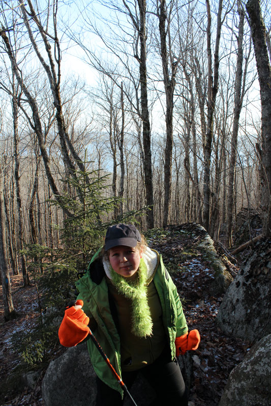 A Very Cold Hike Up Catherine’s Mountain