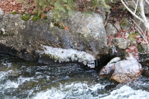 Ice droplets along Tunk Stream