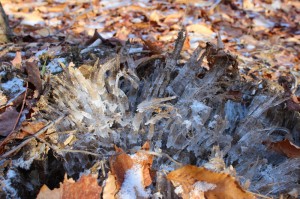 Ice crystal formations