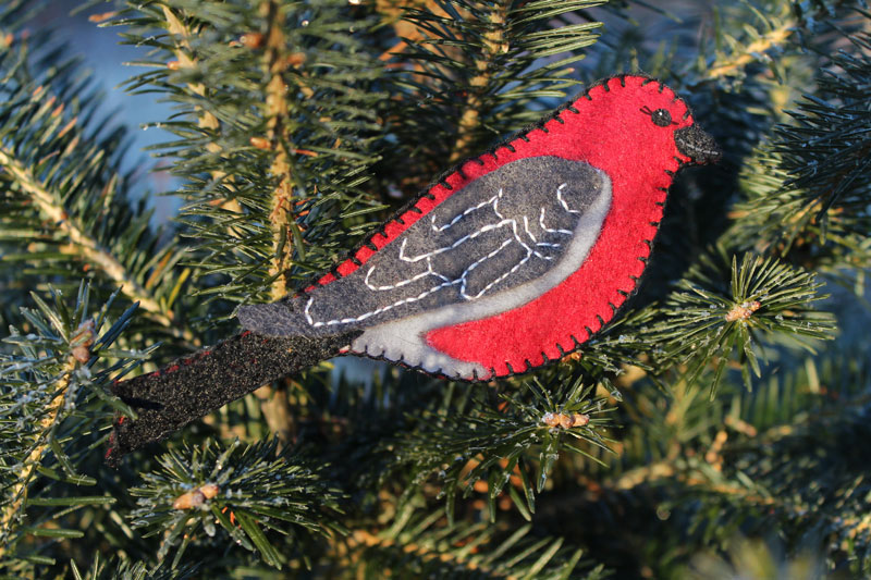 The Pine Grosbeak A Winter Visitor