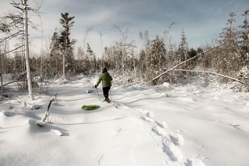 snowshoe4