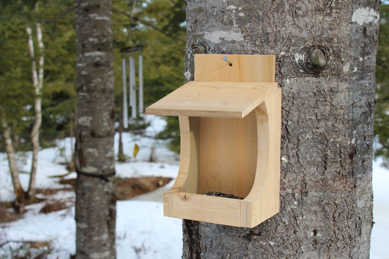 My Dinky-Bird Feeder Downeast Thunder Farm