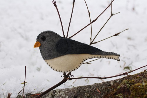 Dark-eyed Junco