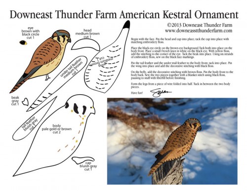 American Kestrel Pattern