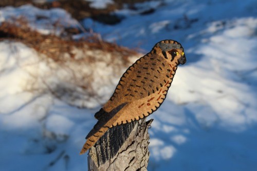 American Kestrel Felt Ornament