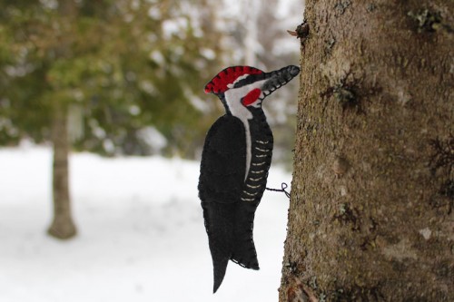 pileated-woodpecker