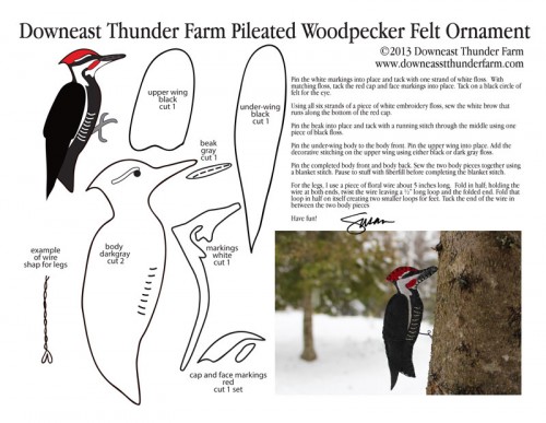 pileated-woodpecker-pic