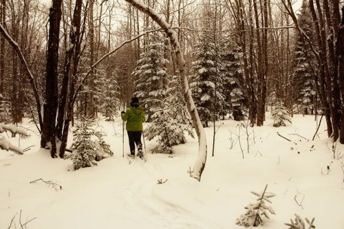 saturday-snowshoe