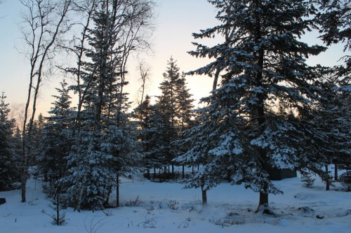 wintry sunrise