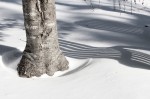 Shadow of summer chairs.