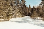 pristine snowy road