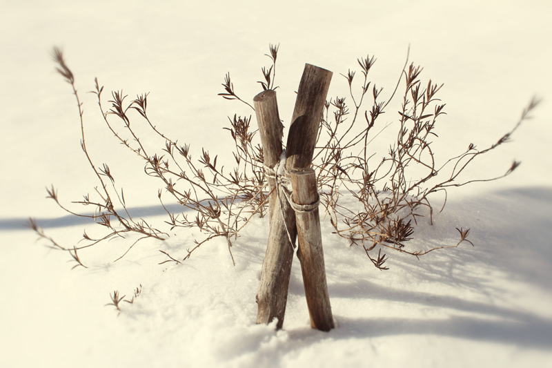 Snow and Shadow