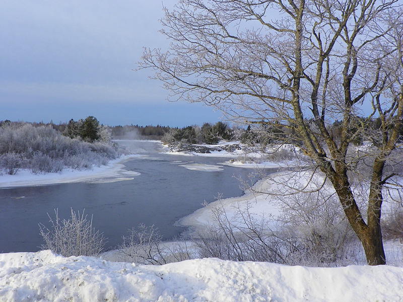 Frosty Morning on the Machias River