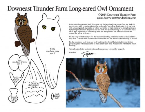 long-eared-owl-pic