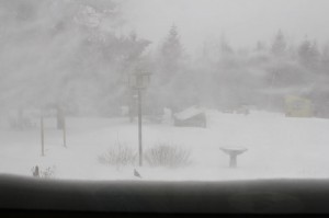 Blizzard Nemo from the kitchen window