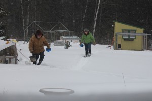 Feeding critters in a blizzard