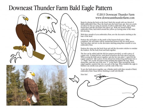 bald-eagle-pic