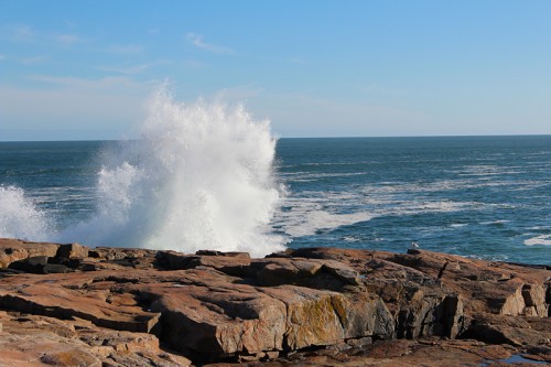 Winter day at Schoodic Point / Acadia National Park