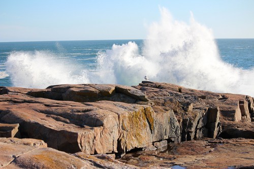 Afternoon drive through Schoodic Point / Acadia National Park