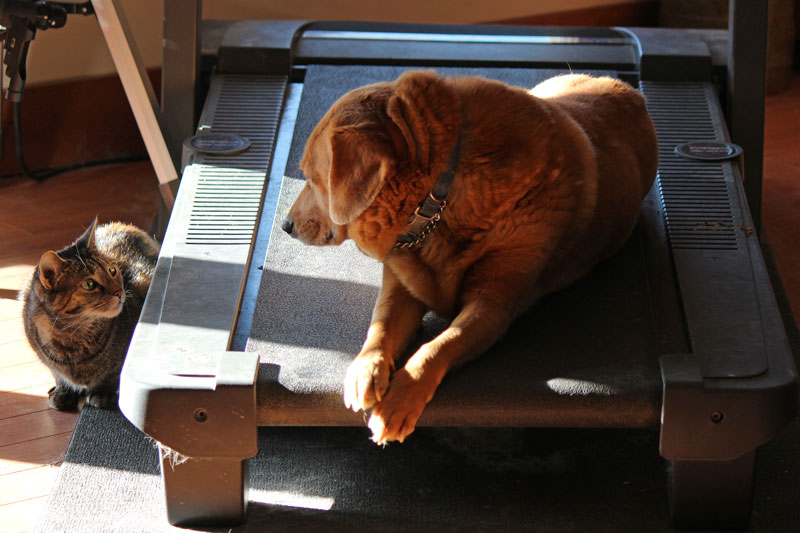 Sharing a Warm Patch of Sun