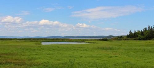 Gleason Cove View