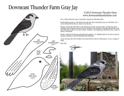 gray-jay-pic