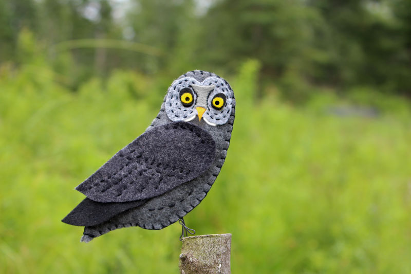 The Grand Great Gray Owl
