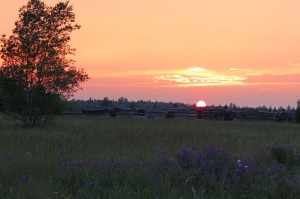 July Sunset