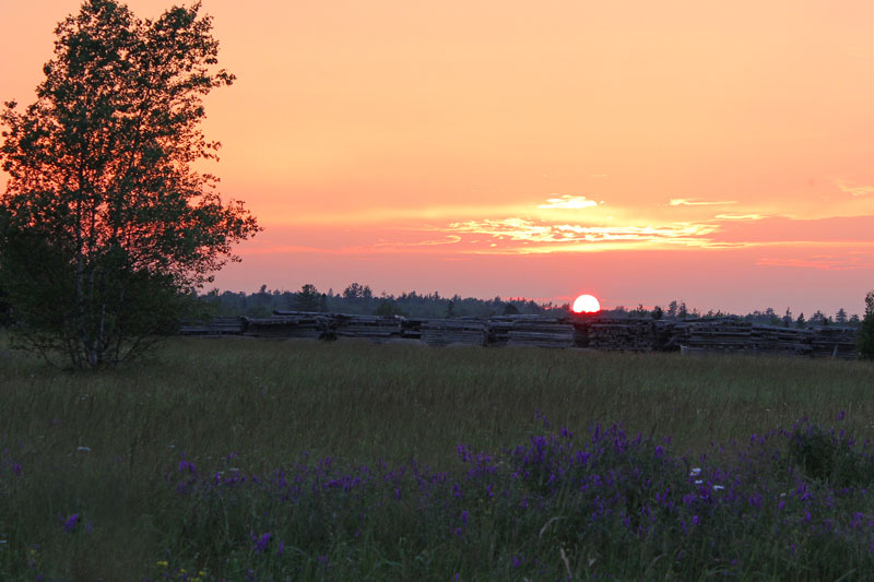 Hot July Sunsets