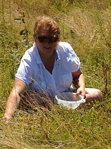 mom-berrying