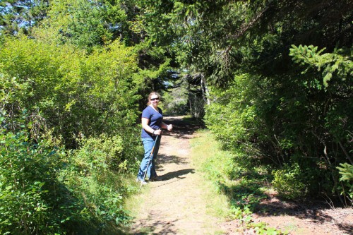 The Alder Trail at Schoodic