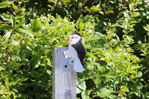 Puffin trail marker