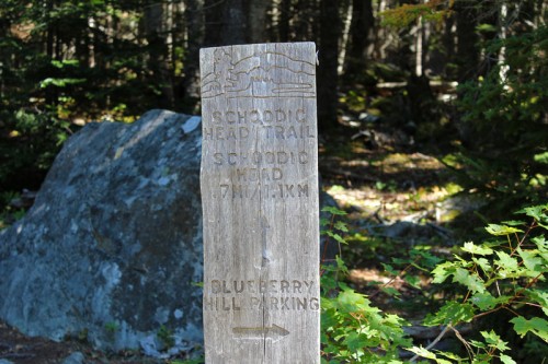 Schoodic Head Trail