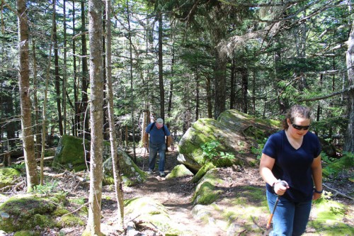 Schoodic Head Trail