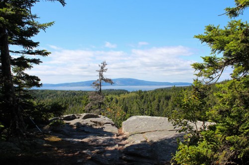 Cadillac Mountain from the Anvil Trail