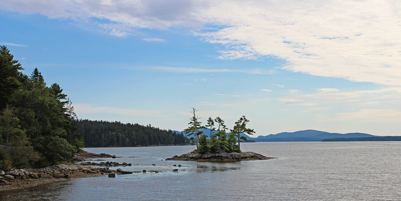 Tiny Island