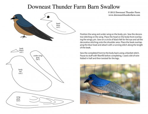 barn-swallow-pic