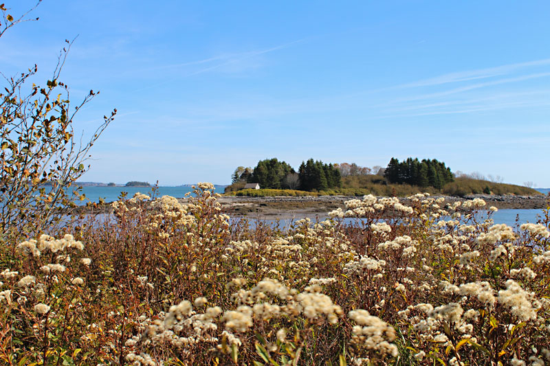 Columbus Day at Ingersoll Point