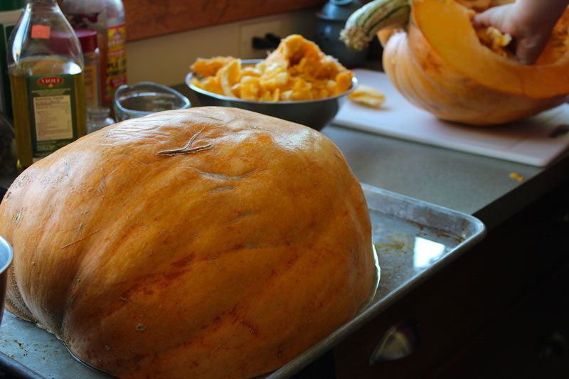 Cooking With Giant Pumpkin