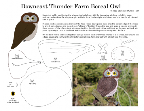 boreal-owl