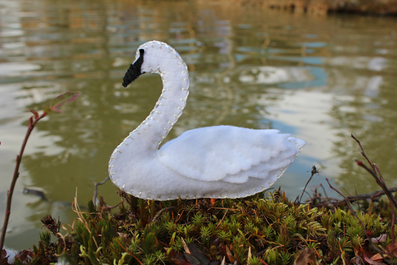 The Elegant Trumpeter Swan