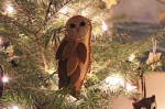 Barn Owl on Tree