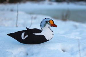 Kin Eider Duck Pattern