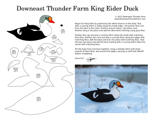 King Eider Duck Pattern