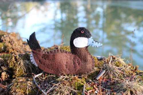 ruddy duck ornament
