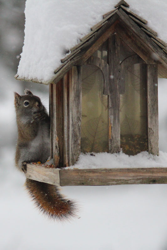 Digging Out. Again.