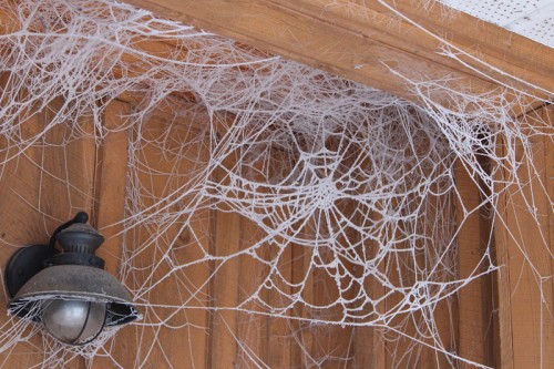 frozen spider web