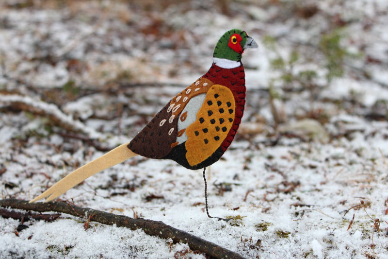 The Gaudy Ring-neck Pheasant